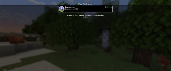 How to Join the Everwaves Server!